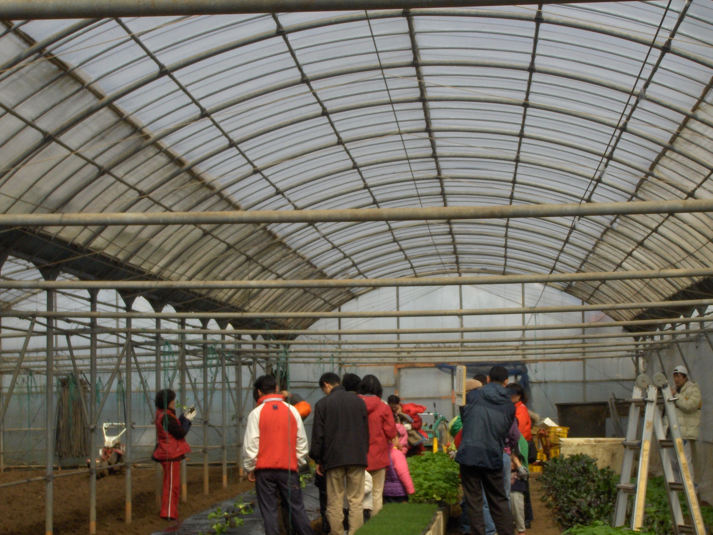 친환경 시설채소 연구회